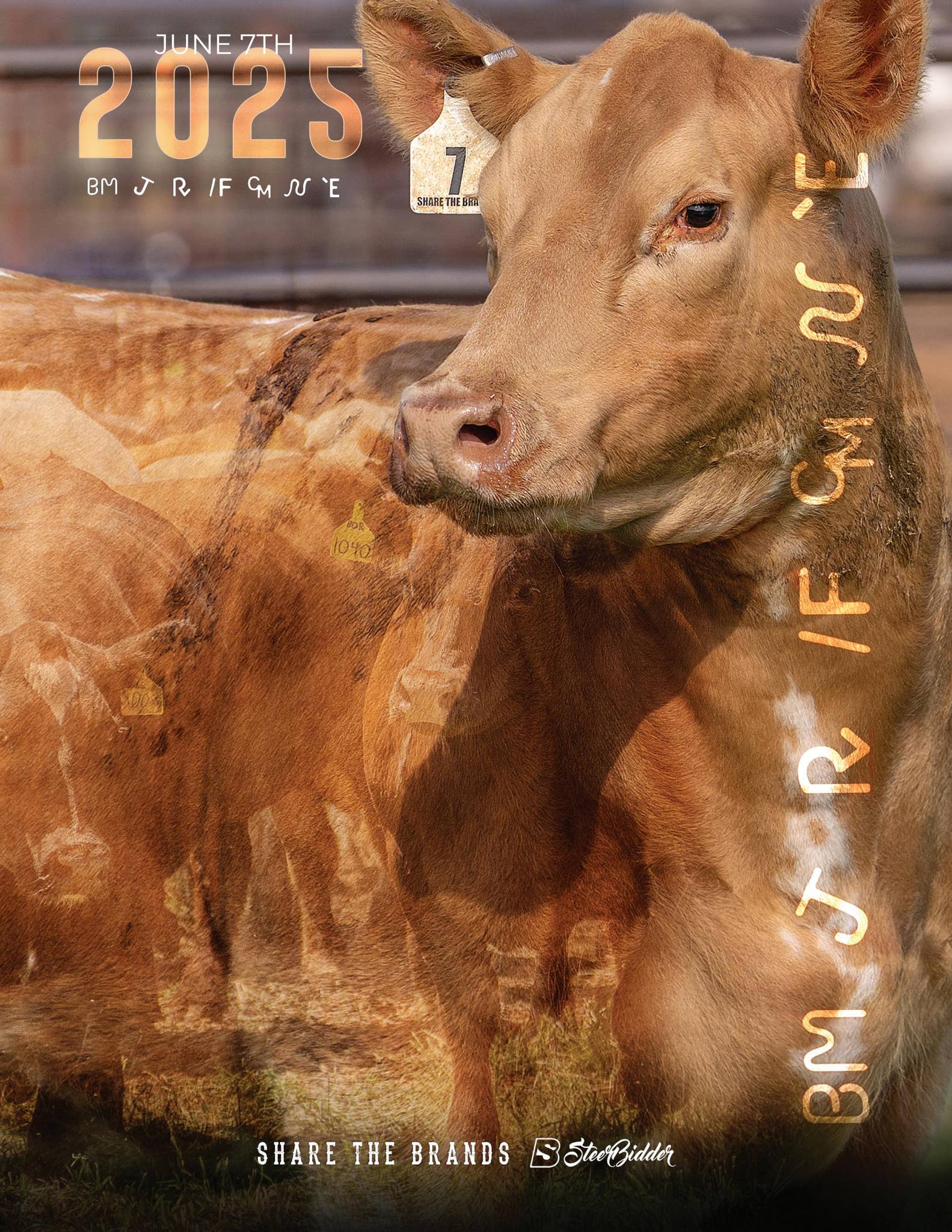 2025 Share The Brands Catalog by Chris Rosa - Issuu