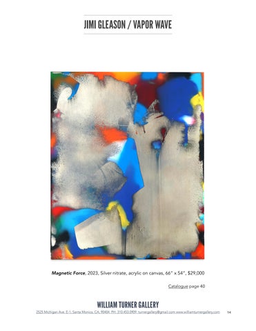 JIMI GLEASON: VAPOR WAVE - TEAR SHEET 第 14 页