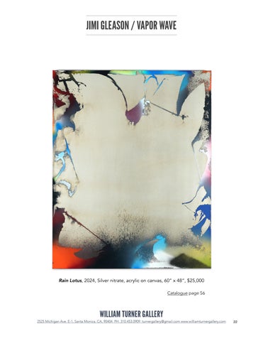 JIMI GLEASON: VAPOR WAVE - TEAR SHEET 第 24 页