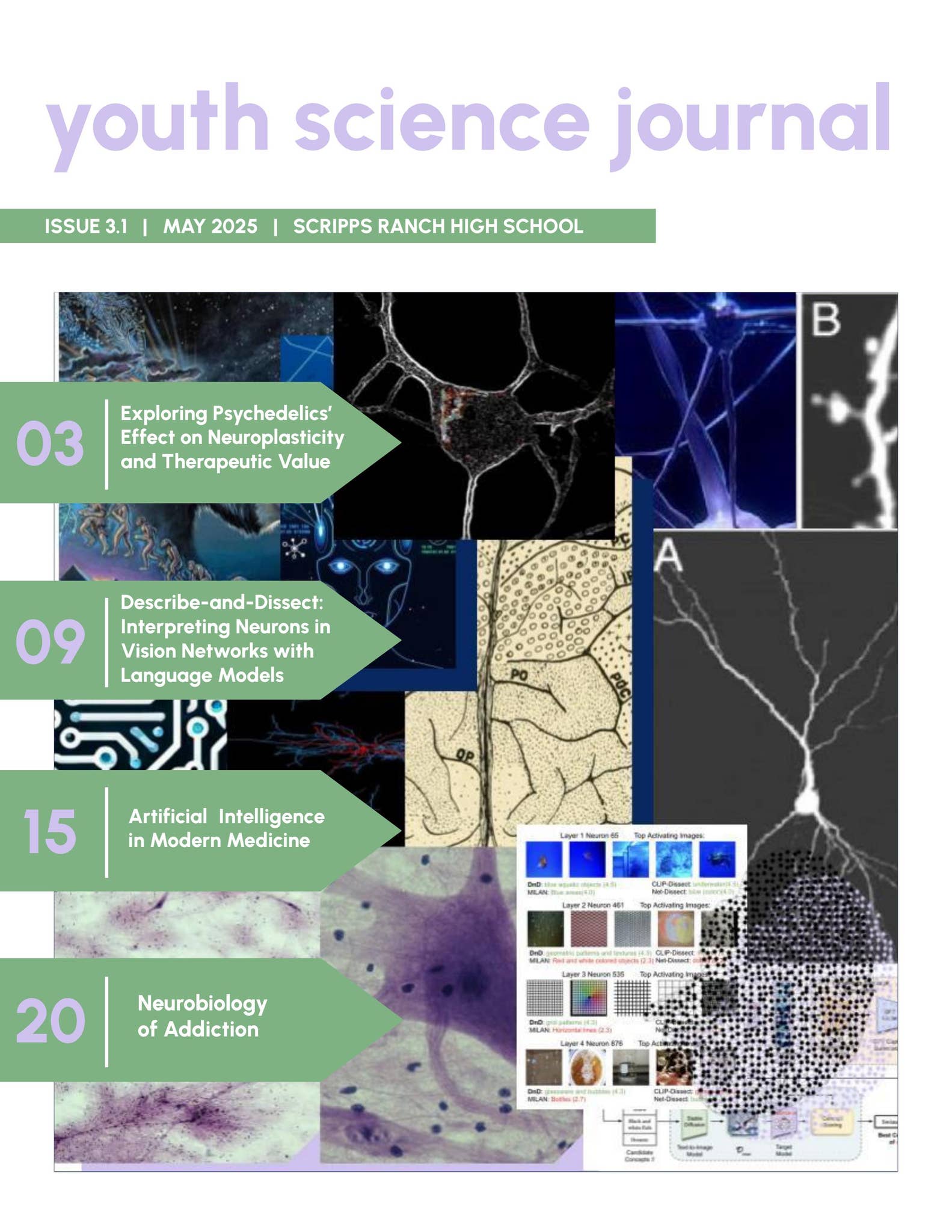 YSJ Issue 3.1 by YSJ Club - Issuu