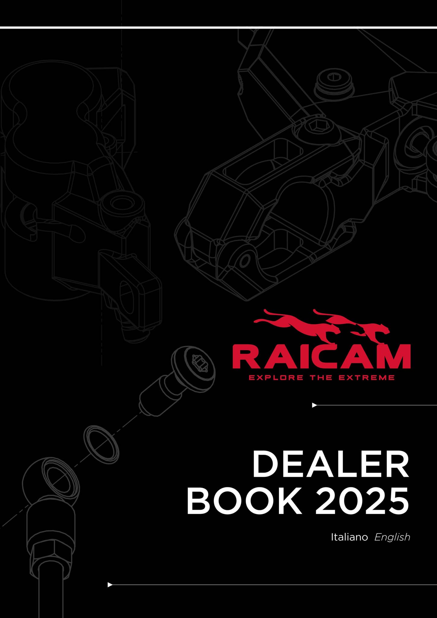 Raicam Dealer Book 2025 by Blulab S.R.L. - Issuu