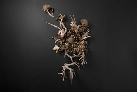 Jennifer Trask 第 9 页