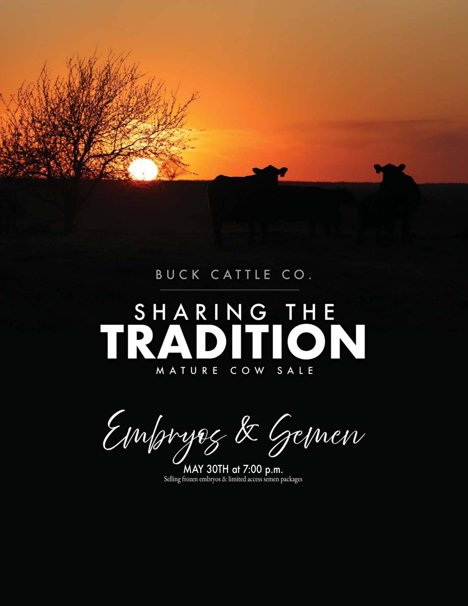 Sharing the Tradition Catalog 2025 Embryos & Semen by Arin Strasburg