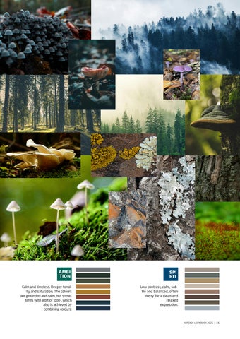 Nordisk-Workbook-2026 第 15 页