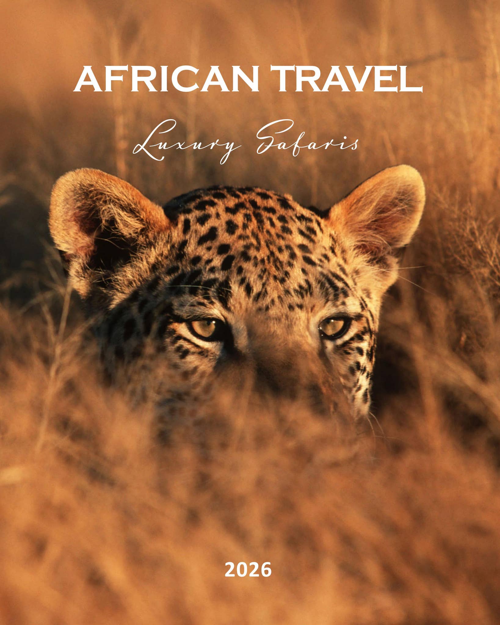 African Travel Brochure 2026 by TTC Africa - Issuu