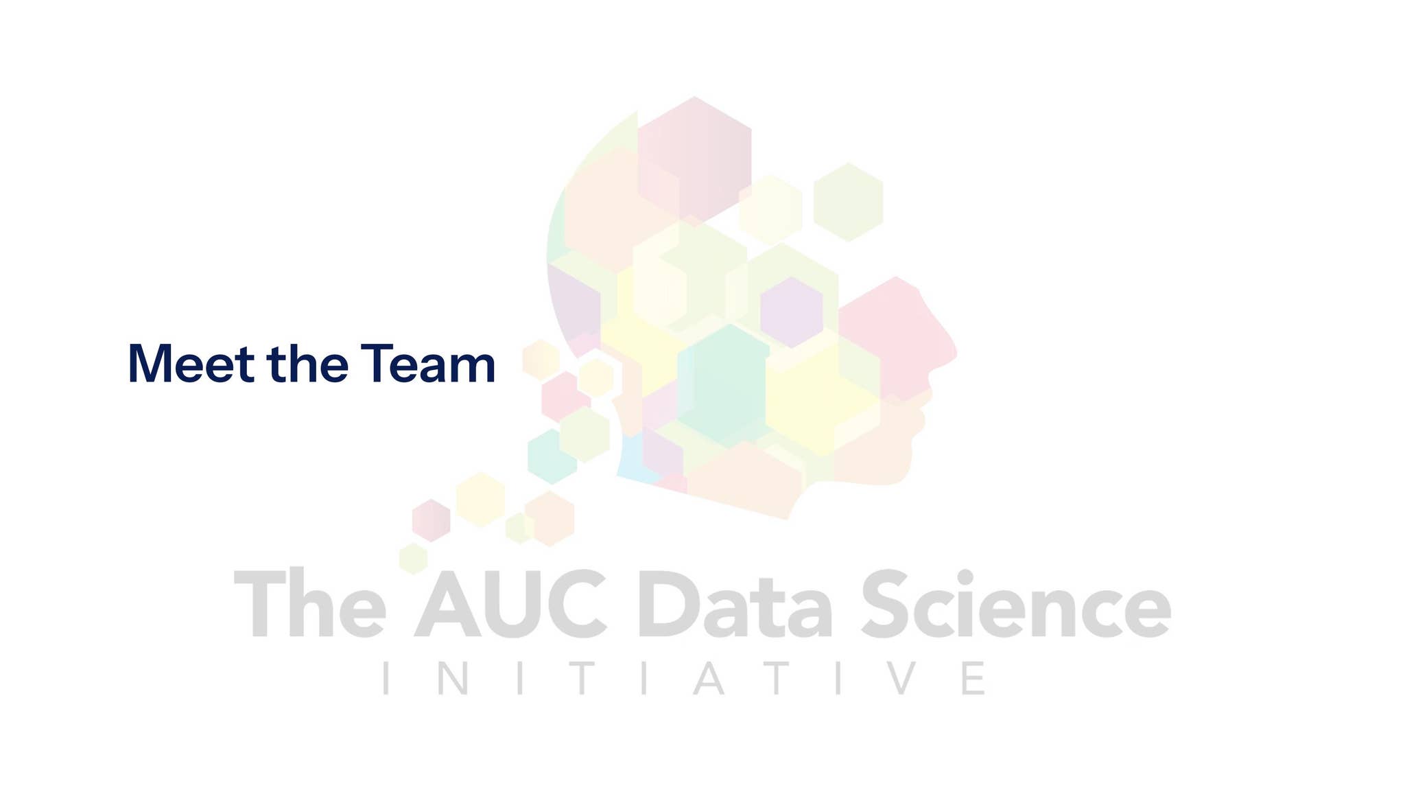 Meet the AUC Data Science Initiative Team by DrKing17 - Issuu