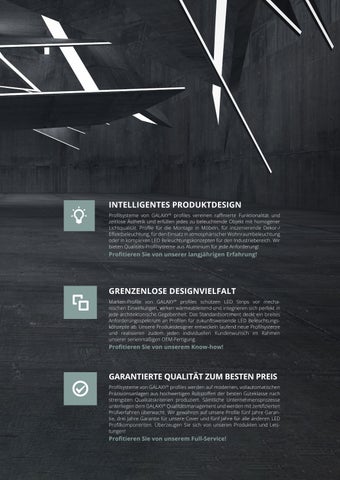 Galaxy-Profiles-Gesamtkatalog 2025 第 3 页
