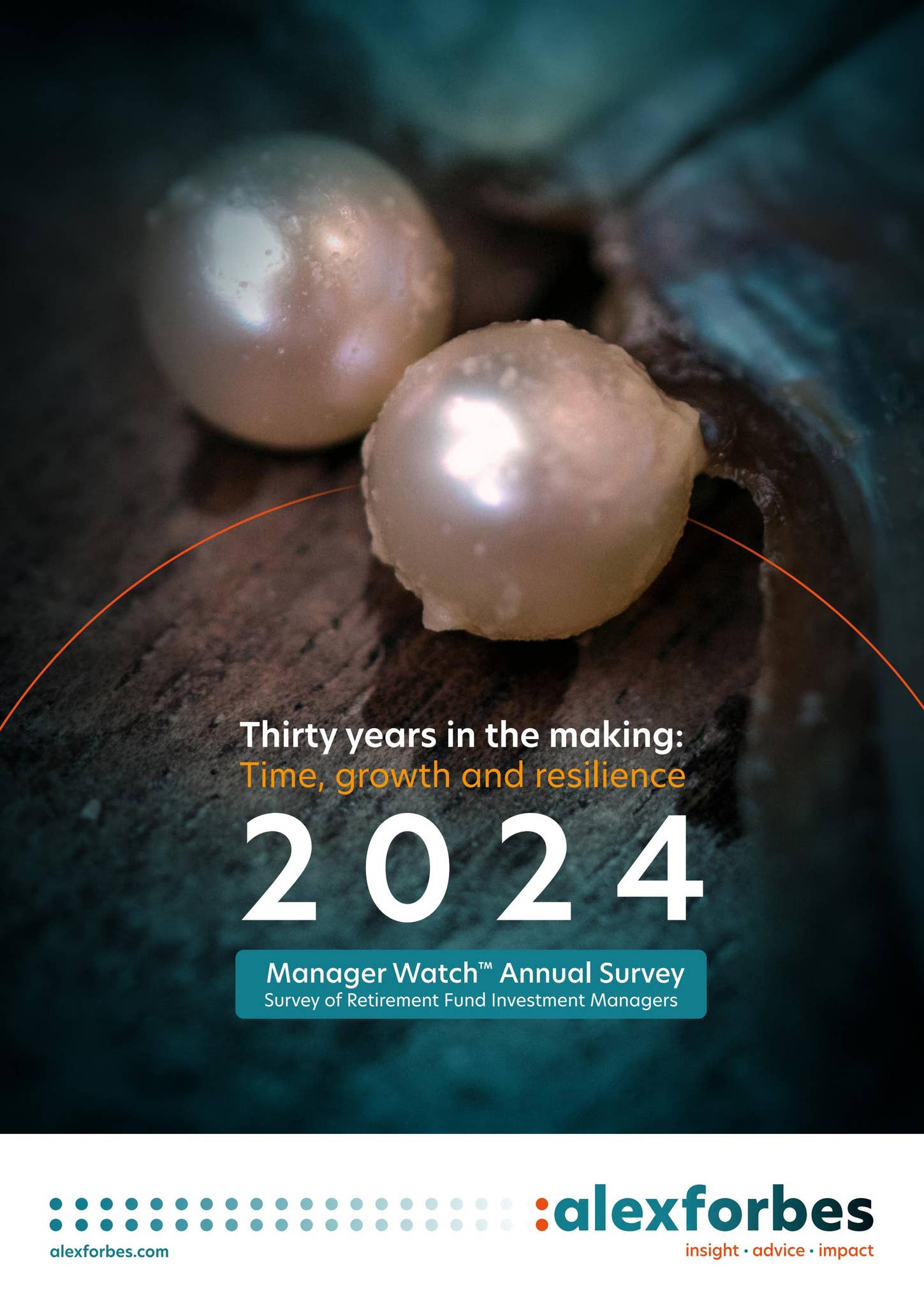 Manager Watch™ Annual Survey 2025 by Alexforbes - Issuu