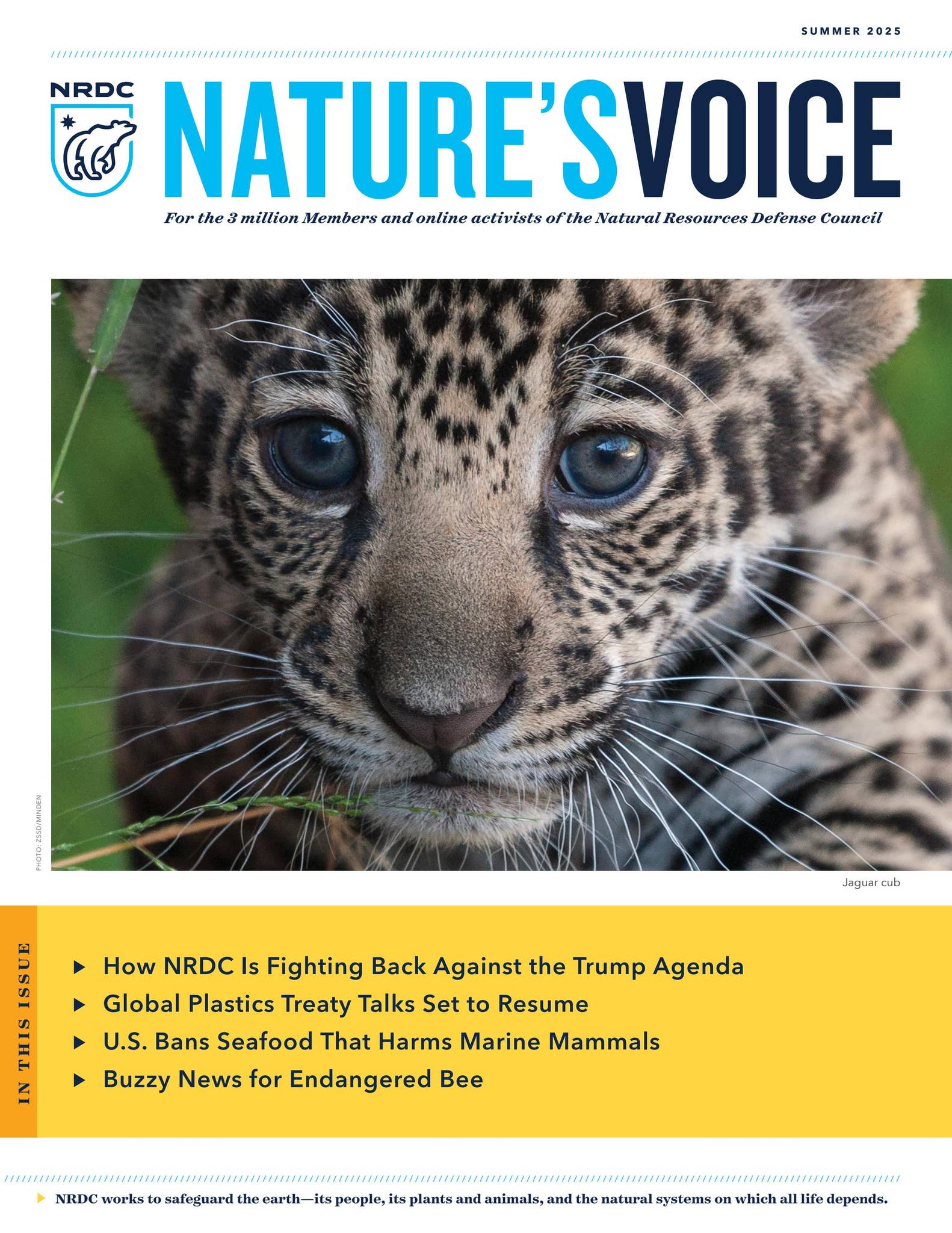Nature's Voice Summer 2025 by NRDC - Issuu
