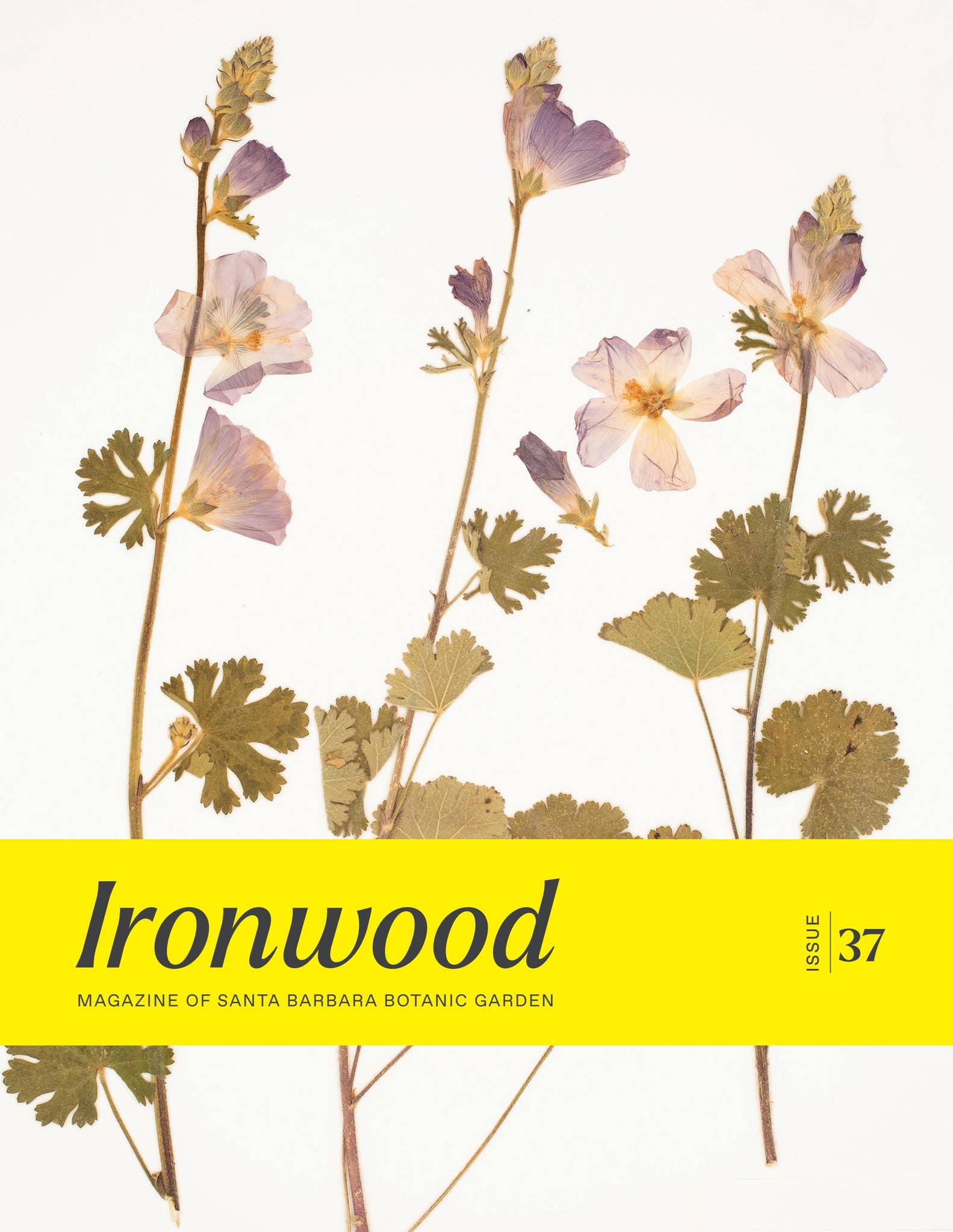 Ironwood | Magazine of Santa Barbara Botanic Garden | Issue 37 by Santa ...