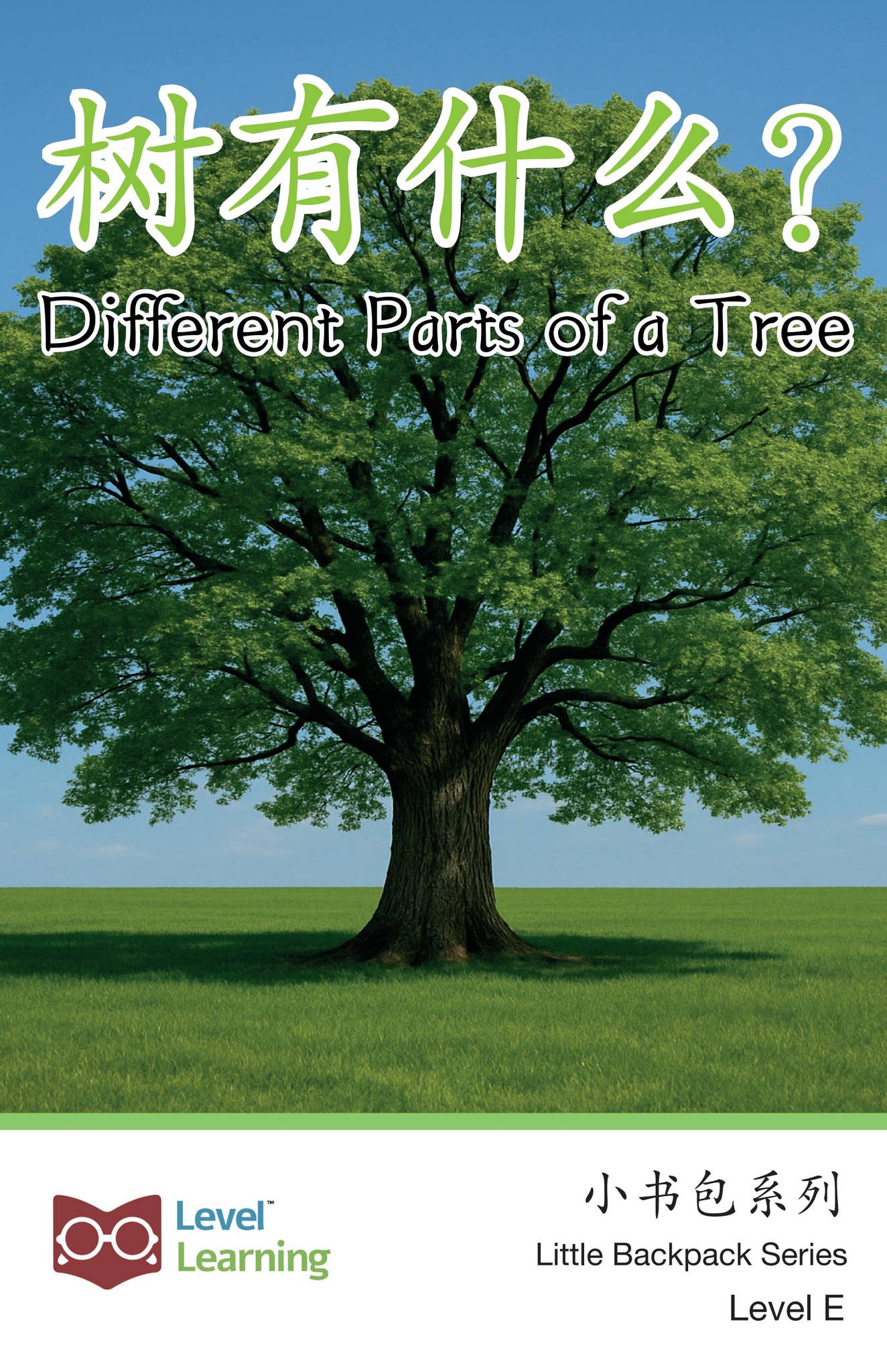 243147_Different parts of a tree proof by marinagraphics - Issuu