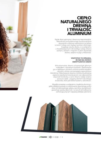FAKRO 家具目录 · PL - Drzwi zewnętrzne INNOVIEW 第 3 页