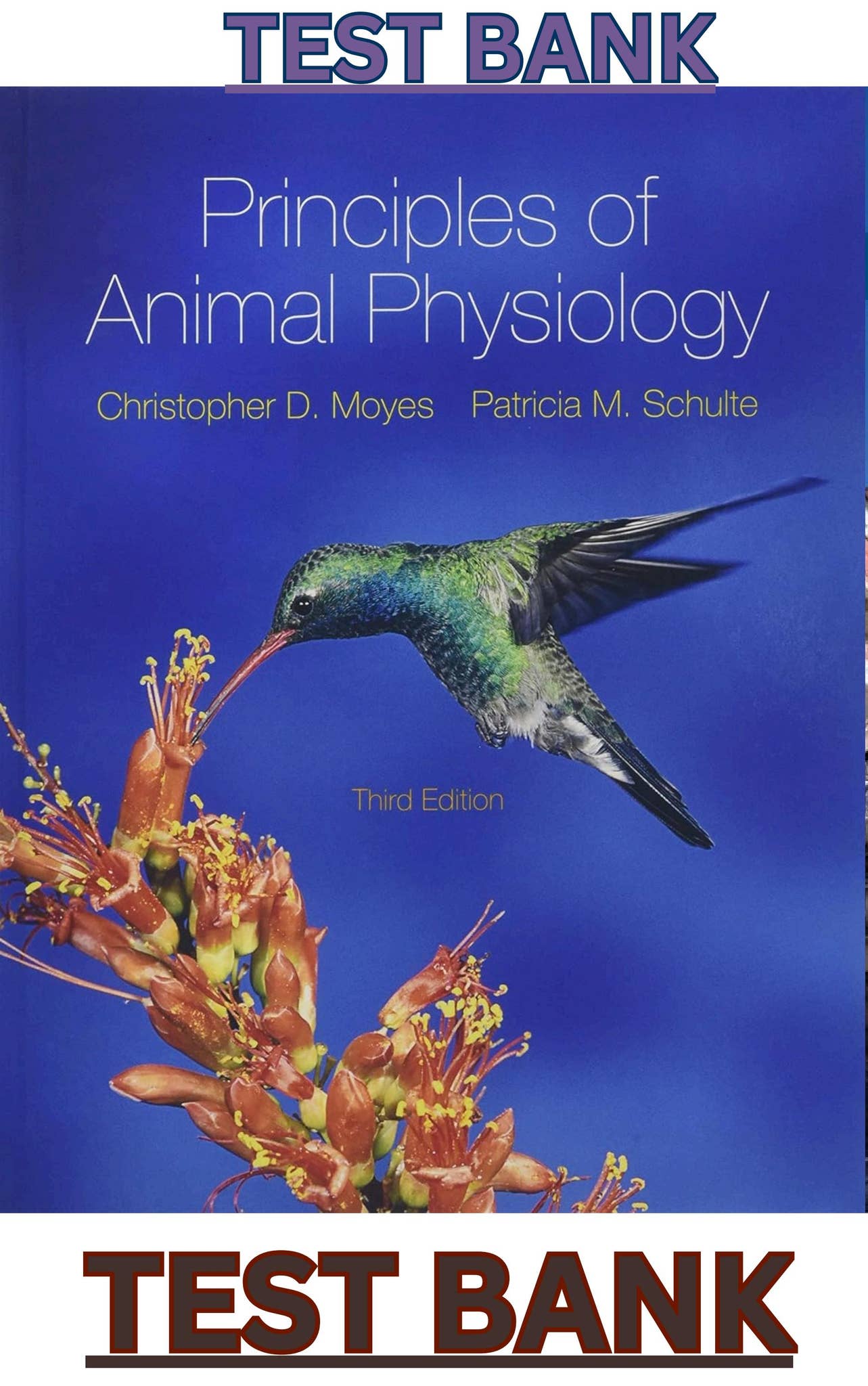 みみみ。 視能学 第3版 Textbook of ORTHOPTICS 視能学 | 株式会社文光堂