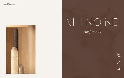 UMAMI DESIGN 灯饰产品集 ALAIN ELLOUZ PARIS 第 11 页