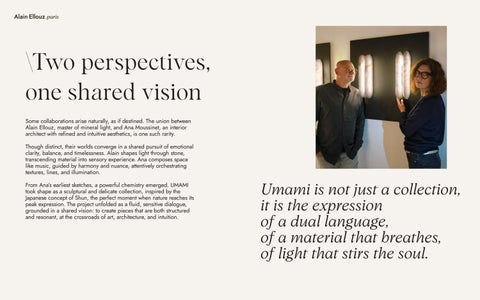 UMAMI DESIGN 灯饰产品集 ALAIN ELLOUZ PARIS 第 5 页