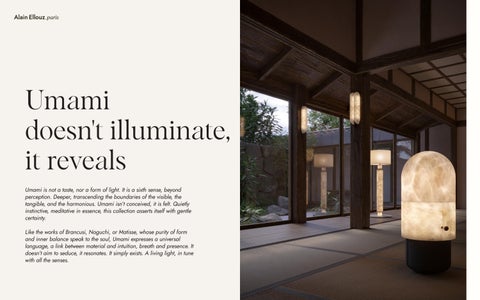UMAMI DESIGN 灯饰产品集 ALAIN ELLOUZ PARIS 第 6 页