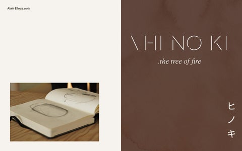 UMAMI DESIGN 灯饰产品集 ALAIN ELLOUZ PARIS 第 7 页
