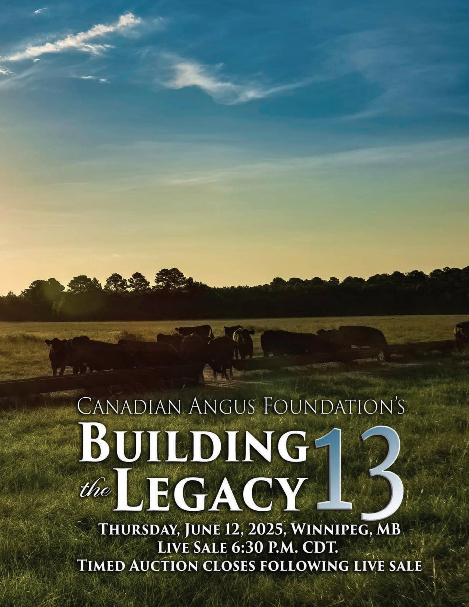 CAA Building The Legacy 13 by Bohrson Marketing Services Ltd. - Issuu