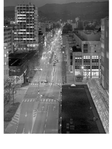 Zug – Ansichten und Aussichten einer Stadtlandschaft 第 2 页