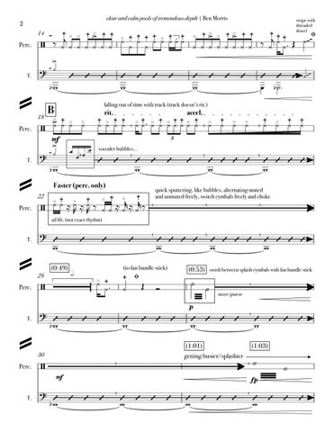 clear and calm pools of tremendous depth ( 全集 Score) 第 4 页