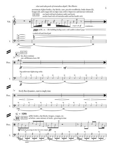 clear and calm pools of tremendous depth ( 全集 Score) 第 7 页