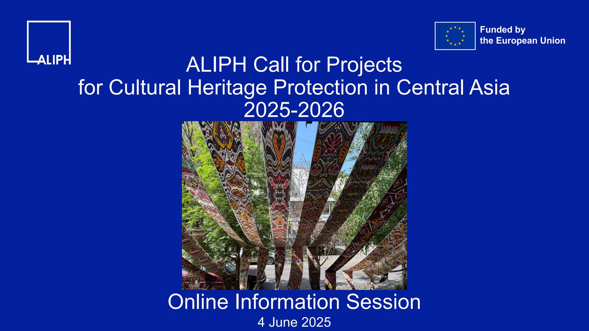 Online Info Session_CA Call _4 June 2025_EN_RU by ALIPH Foundation - Issuu
