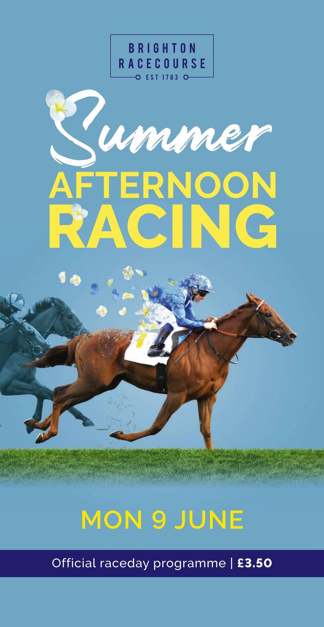 Brighton Racecard - Monday 9th June by Arena Racing Company - Issuu