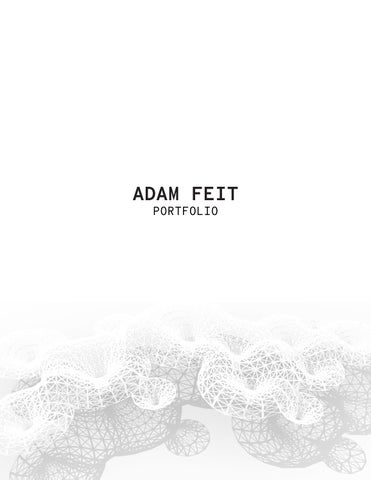 Adam Feit Undergrad Portfolio by Adam Feit - Issuu