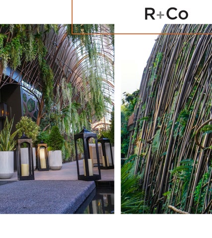 Renfrow+Co Pavilions × Structures Portfolio 第 3 页