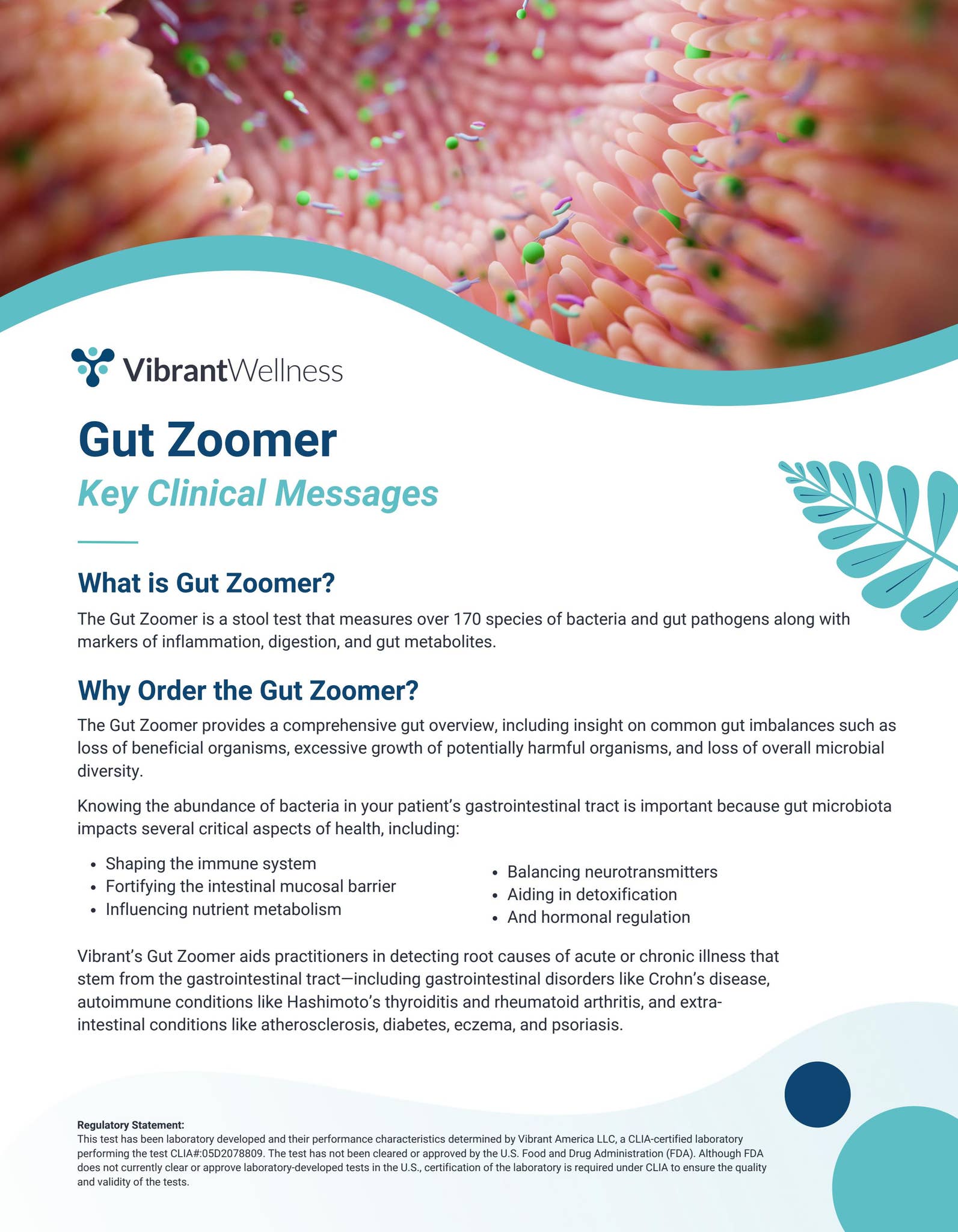Gut Zoomer Test by Hippocrates Wellness - Issuu
