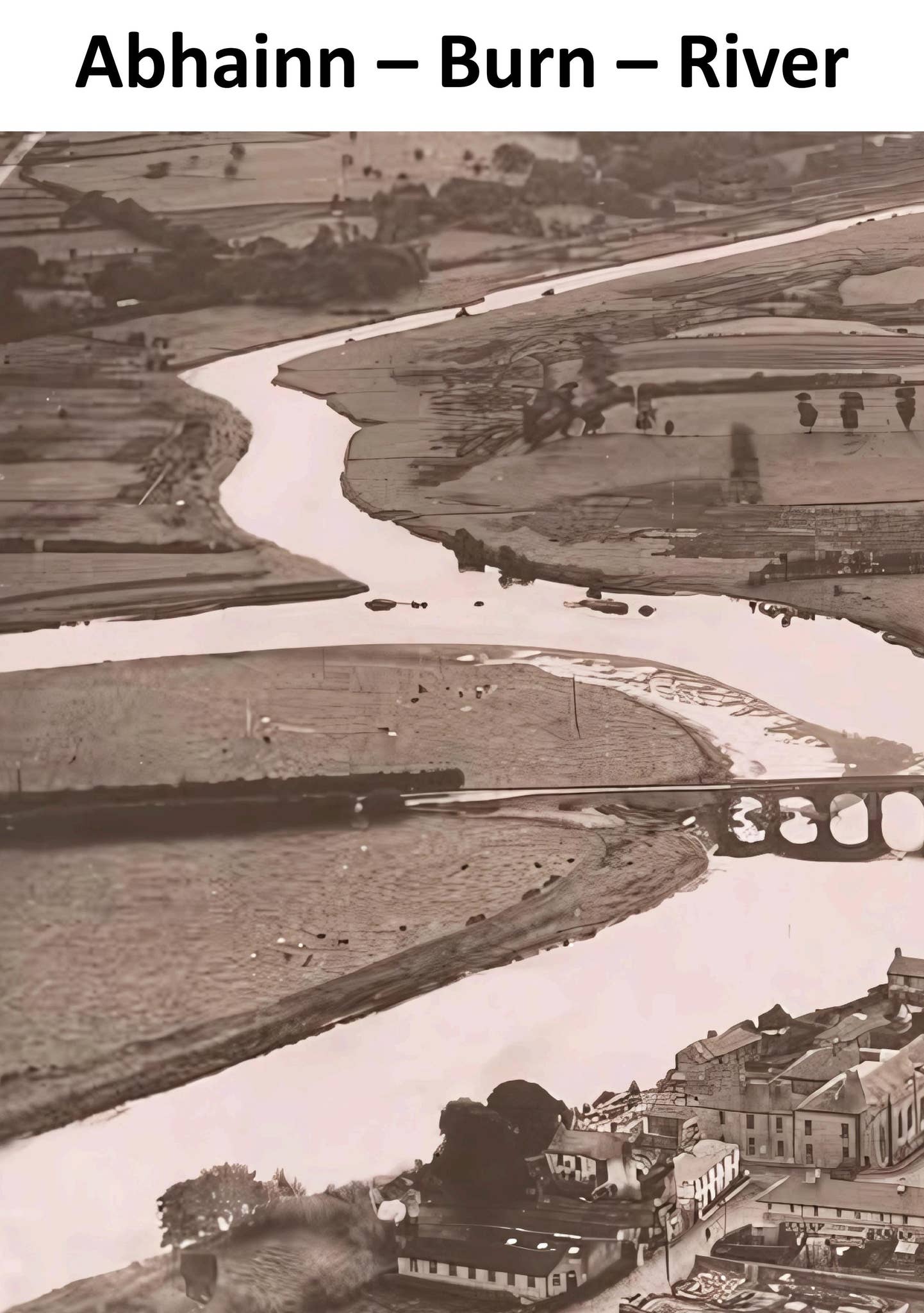 Éasca Péasca are now enrolling for our 2024-2025 classes. We offer Online  one to one classes and small group classes. We provide classes for the  Leaving Certificate, Junior Cycle, TEG, Primary teaching, image size:1442x2048