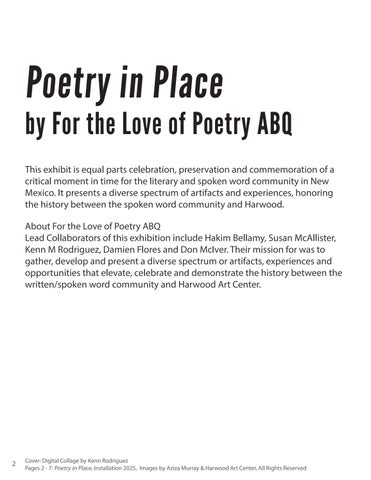 Poetry Exhibition 灯饰目录 第 2 页