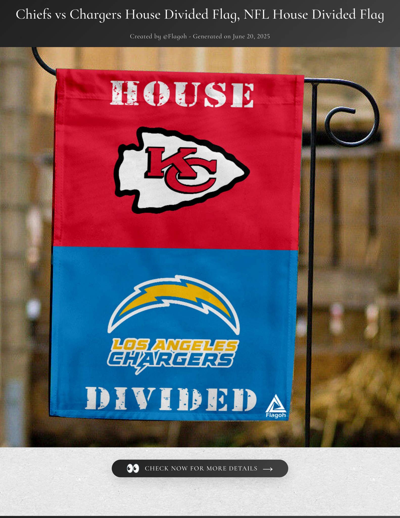 Nfl House Divided Flagsnull