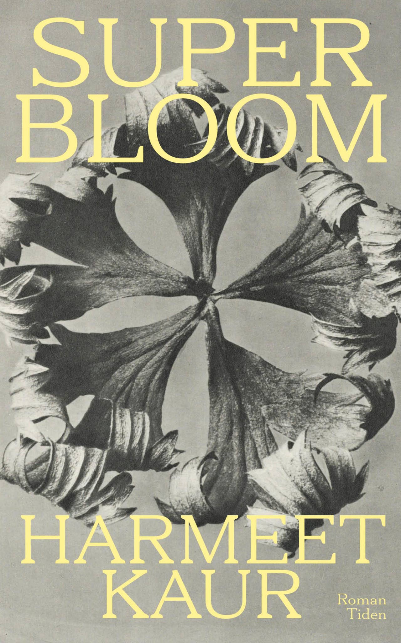 Ingenting betyr noe for meg, minimalistisk tekstillustrasjon – stockfoto ©  psychoshadow #330999562, image size:1280x2048