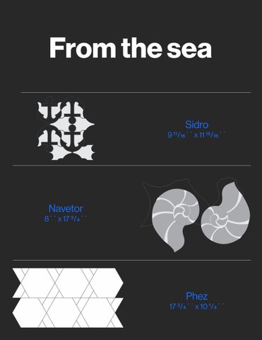 FROM THE SEA 第 10 页
