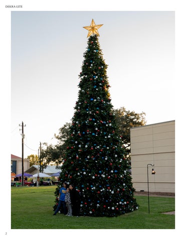 2025 Christmas Essentials | Trees 第 4 页