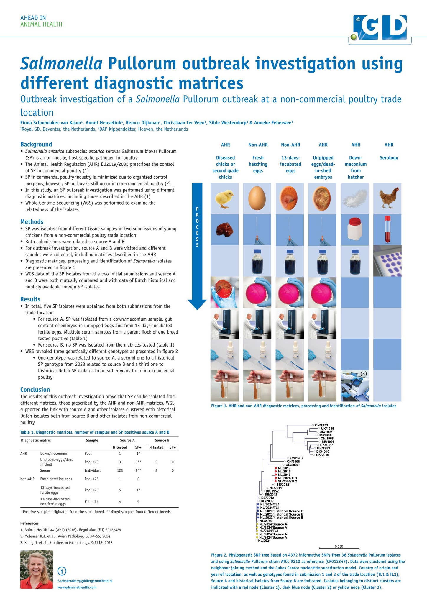 Pullorum Loop Salmonella Pullorum outbreak investigation using different diagnostic ...