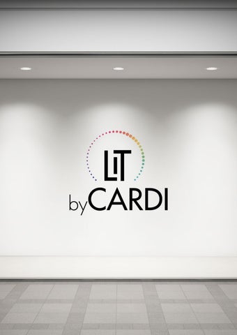 Cardi Brochure del prodotto 2025/26 灯饰目录 · LIT by 第 3 页
