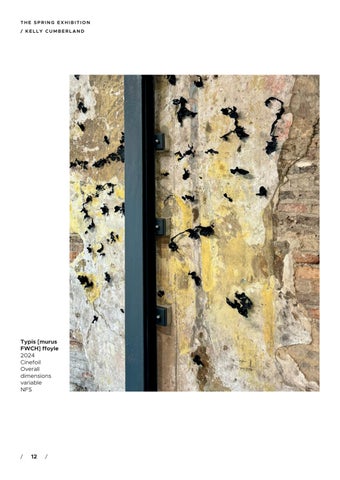 THE 春季 EXHIBITION 第 12 页