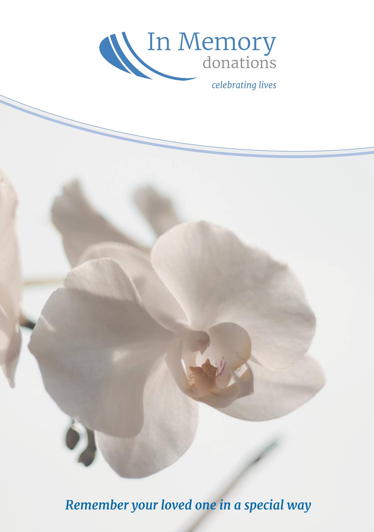 In Memory Adverts In Memory Donations brochure by bereavementadvice - Issuu