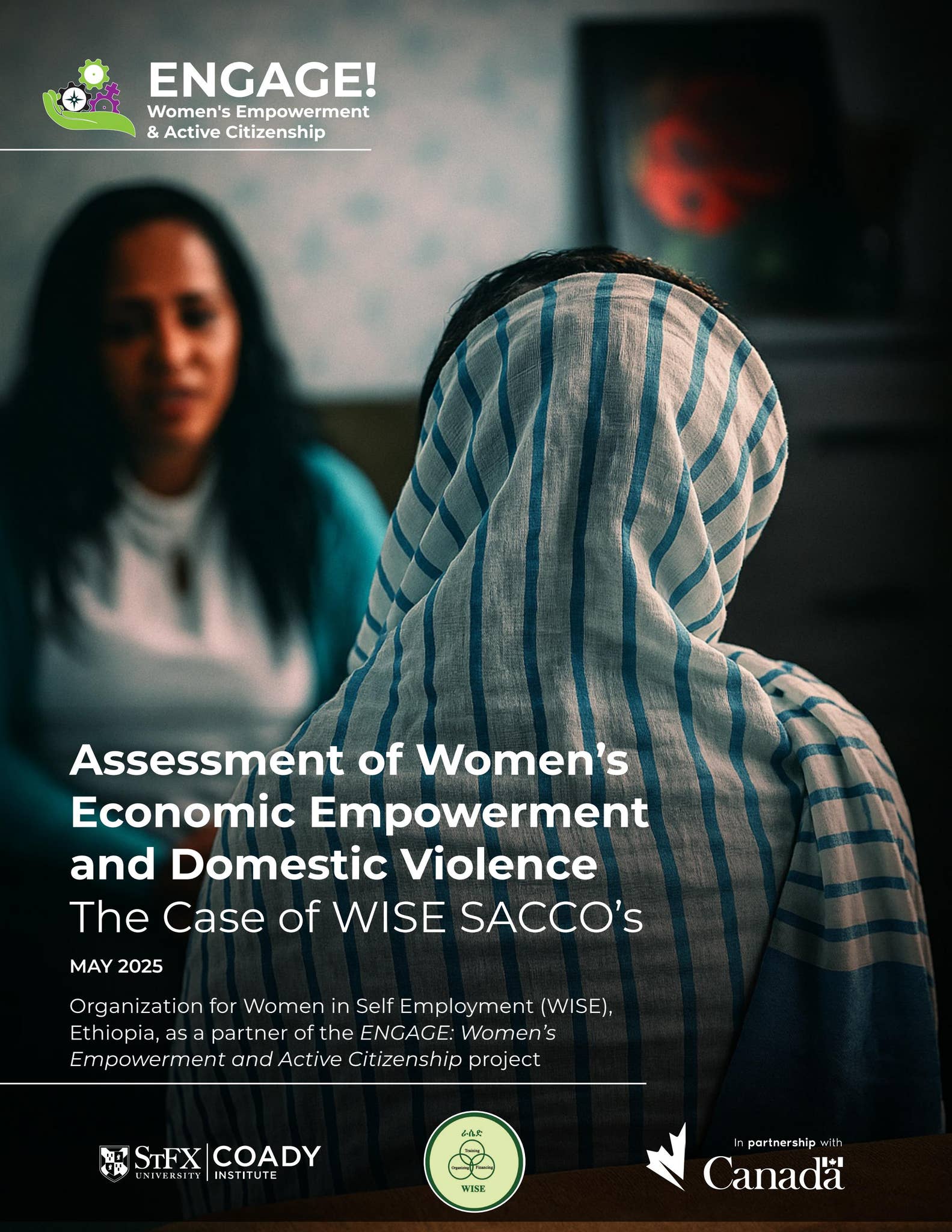 Report: Assessment of Women’s Economic Empowerment and Domestic ...