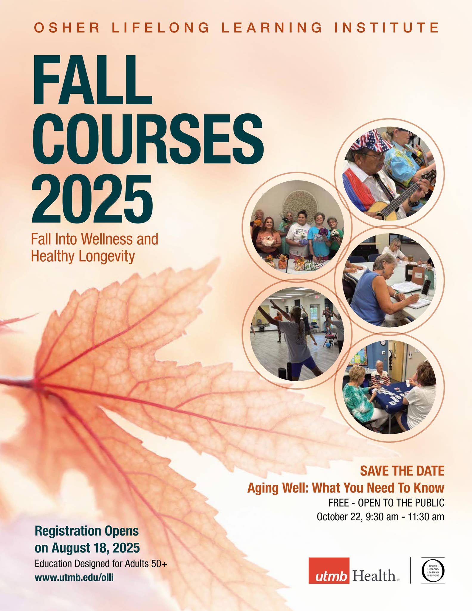 OLLI Fall Catalog 2025 by UTMB Health Issuu