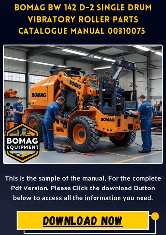 Bomag BW 219 PD-4 Single Drum Vibratory Roller Parts