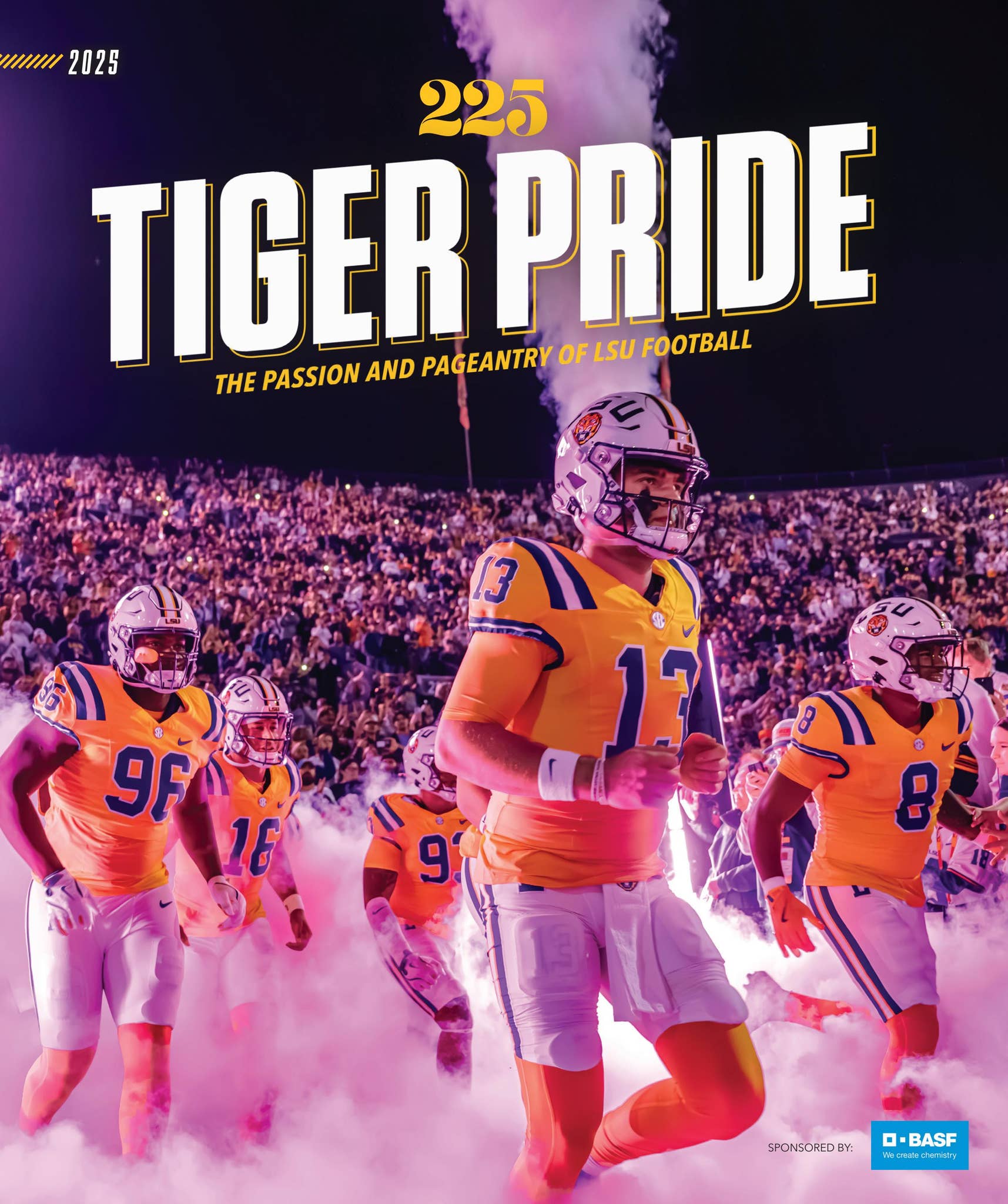 225 Magazine - Tiger Pride 2025 by Baton Rouge Business Report - Issuu