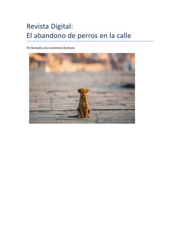 Revista_Abandono_Perro_Con_Imagenes