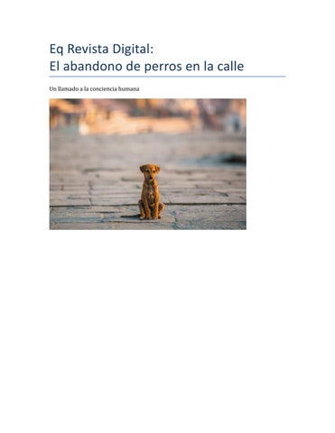 Revista_Abandono_Perro