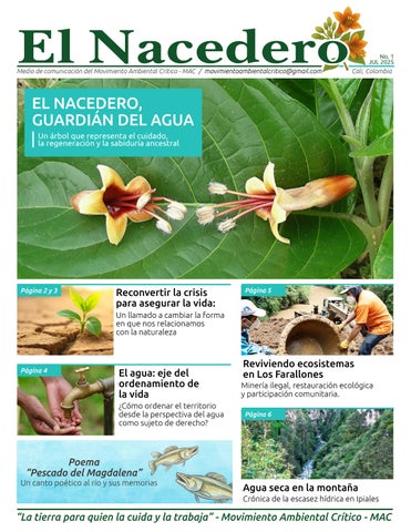 Periodico el nacedero 1 ed