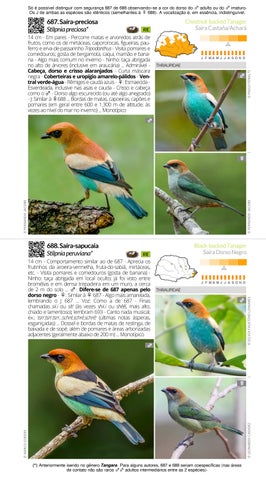 Amostras Guia de Identificação: Aves do Paraná