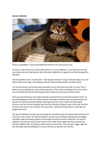 Hamster Addiction