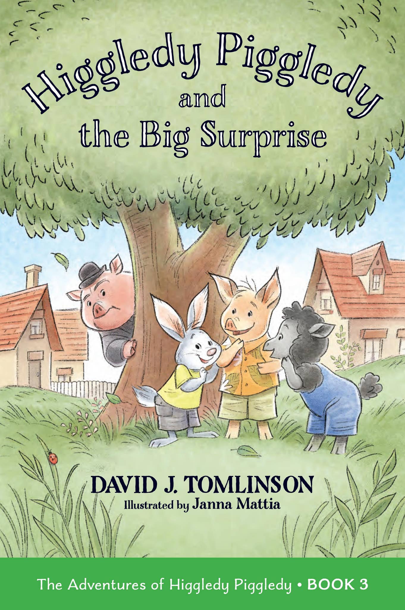Higgledy Piggledy and the Big Surprise by Loyola Press - Issuu
